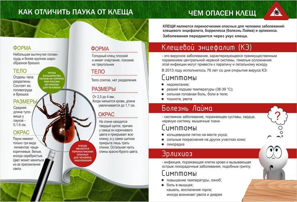 Как защититься от клещей.