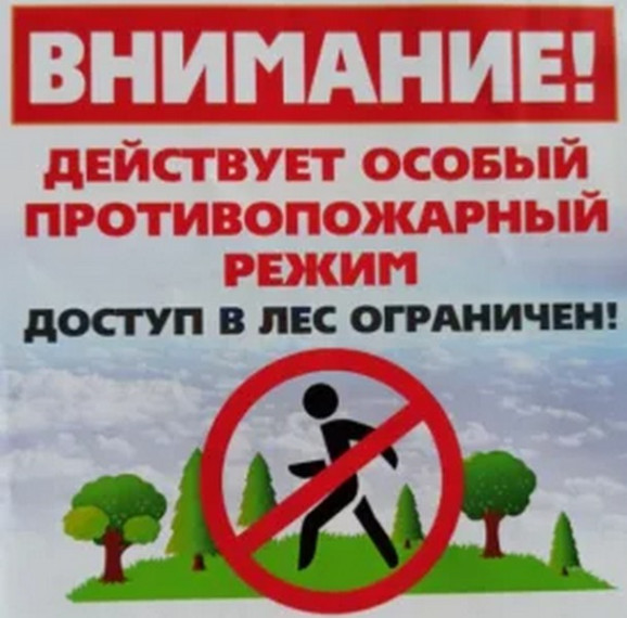 Особый противопожарный режим. Особый противопожарный режим.